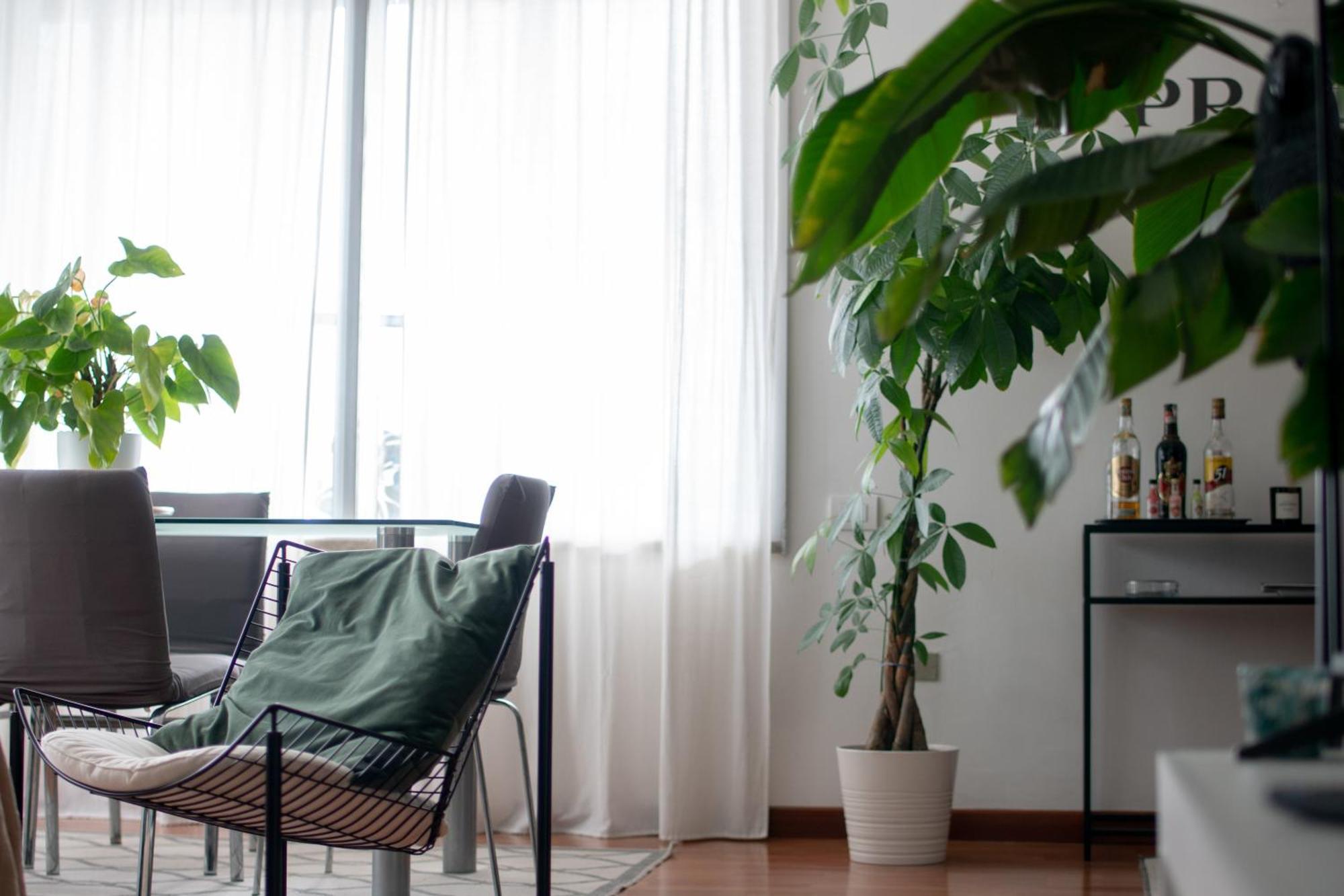 Urban Jungle - Attico Vista Duomo Appartement Milaan Buitenkant foto