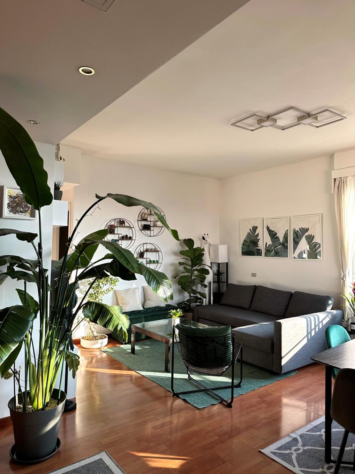 Urban Jungle - Attico Vista Duomo Appartement Milaan Buitenkant foto