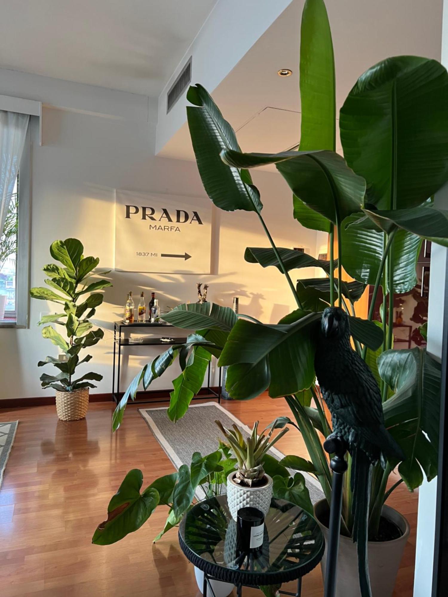 Urban Jungle - Attico Vista Duomo Appartement Milaan Buitenkant foto